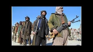 News Taliban, roaming Afghan cities amid Eid euphoria, say ceasefire...