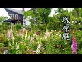 【Private Residence】 Ms.Michiko Tsukahara's Residence. MF Garden w/Mount Fuji. 塚原邸 #富士山 #オープンガーデン