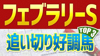 【フェブラリーステークス2022】追い切りが絶好調だった「トップ３」はこの馬だ🐴【フェブラリーS予想】