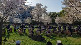 麻機太鼓保存会　2021年4月3日　万二郎　【静岡まつり】