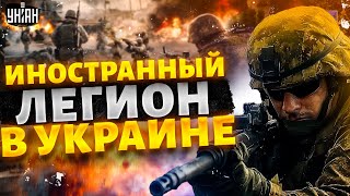 У Запада ЛОПНУЛО ТЕРПЕНИЕ! Войска Запада врываются в бой: мощная подмога ВСУ - в пути