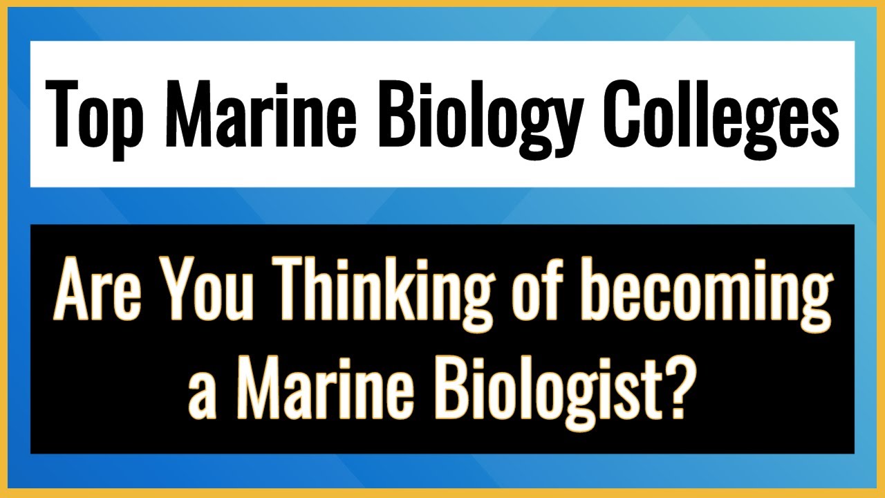 Top Marine Biology Colleges - Best Marine Biology Colleges - YouTube