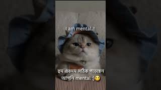 আমি জানতাম আপনি আসলে..............🫢🤭