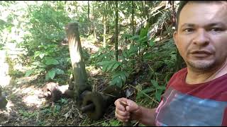 #boeing707 D-Abuy vooLH527,Expedição Serra do macaco,peças do avião