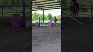 Teaching Ella how to jump #jumping #horse #youtubeshorts #fyp #ella