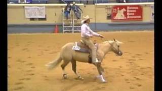 Jacspin 1991 NRHA Futurity Open Finals