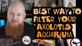 BEST WAY TO FILTER YOUR AXOLOTLS AQUARIUM!