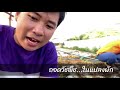 ข้ึนดอยอ่างขาง เก็บลูกพลับ ลุยสวนผัก ตอนที่ 2 ep.15