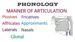 Manner of Articulation | Consonant Sounds in Phonetics | Consonant Sounds manner of articulation