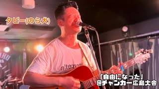 タビー(のら犬)「自由になった」@タマタクチャンカー広島大会！