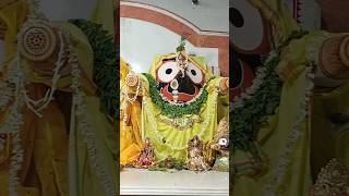 কলকাতার সবথেকে বড় এবং প্রাচীন জগন্নাথ মন্দির। খিদিরপুর জগন্নাথ মন্দির #shortvideo