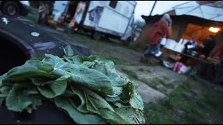 Voici comment fonctionne le "non-marché" de la ZAD de Notre-Dame-des-Landes