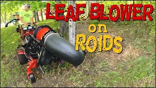 A LeafBlower on \