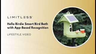 Hello Birdie Smart Bird Bath with App-Based Recognition Lifestyle Video