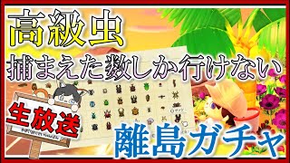 【生放送】高級虫捕まえた数しか行けない夜更かし離島ガチャ【あつ森】