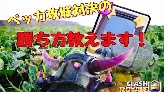 【リプレイ解説】ペッカ攻城対決の極意【クラロワ】