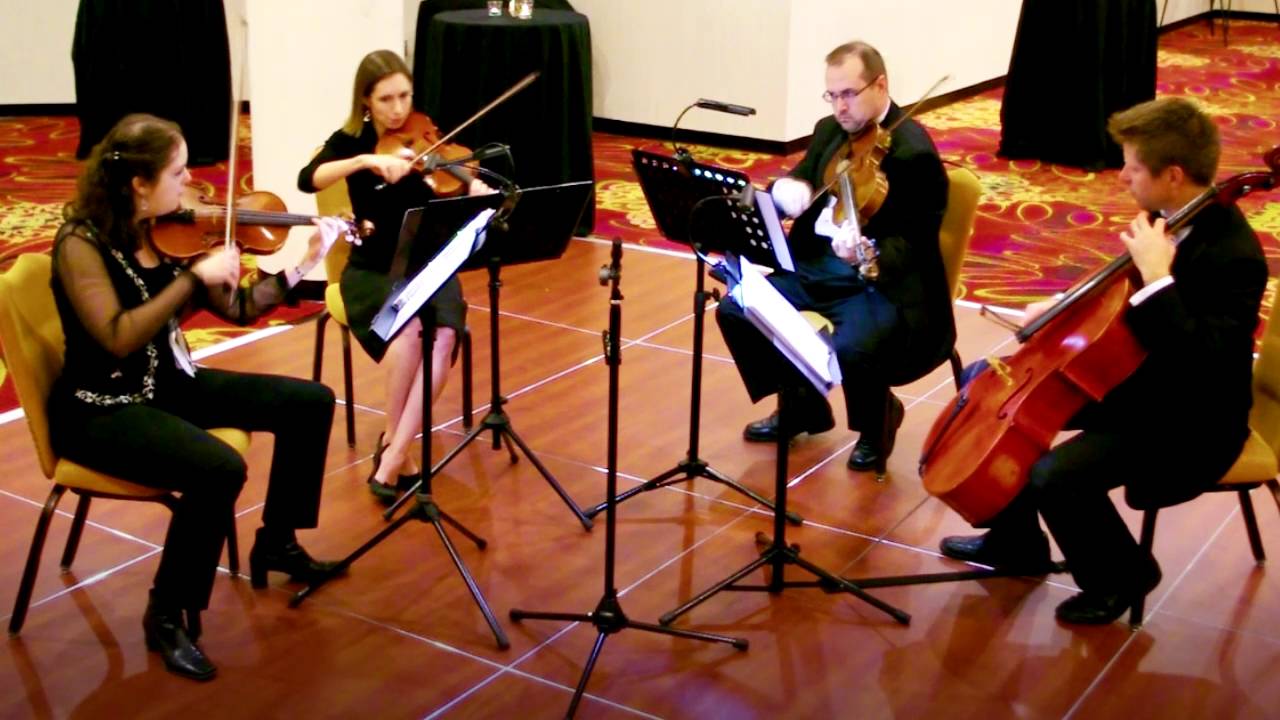 Perfect Harmony String Ensemble Shut Up And Dance With Me Excerpt