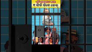 ଏଠି ଅପରାଧ କଲେ ୩ ପୀଡି ଜୀବେ Jail #odia #facts #shots