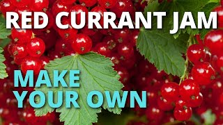 How To Make Red Currant Jam 🍒