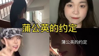 蒲公英的约定 翻唱 | 抖音合集