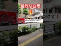 【猛烈な白煙🔥】火災か？！みんな気をつけて！安全第一だ！ share safetyfirst 消防 消防車 消防士 火事 火災 安全 fire shorts