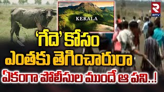 'గేదె' కోసం ఎంతకు తెగించారురా | A Issue Between Two Villages For 'Buffalo' | Kerala | RTV