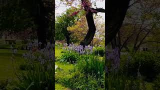 #france 🇫🇷 #foryou