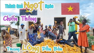 Huy Khánh Vlogs || Thành Quả Ngọt Ngào - Trái Tim Người Việt Nam Chiến Thắng Trong Lòng Dân Bản ???