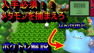 【ポケモンBDSP】メタモンの居場所、ポケトレ解説‼途中思いがけないことが起こる