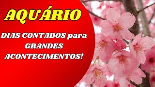 💎AQUÁRIO NOVEMBRO📌 DIAS CONTADOS para GRANDES ACONTECIMENTOS! LIVRAMENTOS e ABERTURA de CAMINHOS