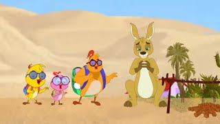 Foxie And The Chicks Meet Kangaroos! | Eena Meena Deeka | Cartoons for Kids | WildBrain Zoo