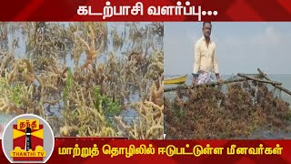 கடற்பாசி வளர்ப்பு... மாற்றுத் தொழிலில் ஈடுபட்டுள்ள மீனவர்கள்