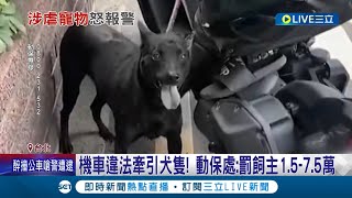 拖鞋比狗還重要? 飼主騎車拖行小狗150米自摔 目擊騎士熱心提醒飼主卻不理會! 動保處:最重開罰7.5萬!｜記者 邵子揚 張德生 ｜【LIVE大現場】20221128｜三立新聞台