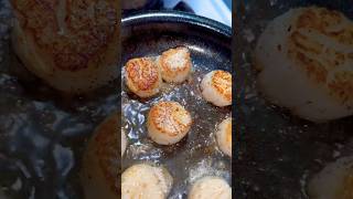 Seared Scallops 🦪 #scallops #searedscallops #seafood #cooking