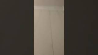 Dylan’s Fart
