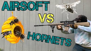 Airsoft vs Hornets Hornets Nest 100% Compromised