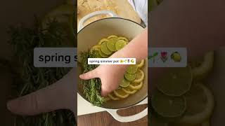 make a spring simmer pot with me