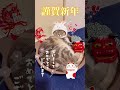 【謹賀新年】正月からよく寝る猫😻🎍 shorts お正月