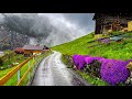 Wunderschöne Regenwanderung in Gimmelwald 🇨🇭 Ein Schweizer Dorf