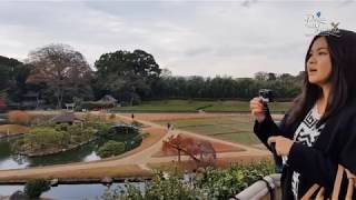 Okayama Korakuen Garden in Autumn Season