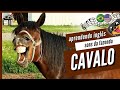 🐎 SOM DO CAVALO | CAVALO EM INGLÊS :: ANIMAIS DA FAZENDA DO AMIGO BICHO