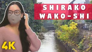 [4K] Take a Walk With Me - Shirako, Wako-shi