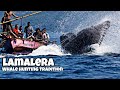 Lamalera - This Village Still Hunts Whales as It Has for Centuries