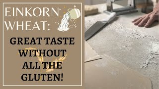 Einkorn wheat: Great Taste without all the gluten!