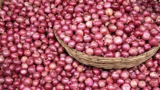 # என்ன வெங்காயத்துக்கு??# SMALL onion but BIG tragedy to farmer#