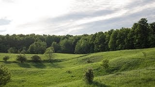 42 acres in Mono | Dufferin County | David Visentin