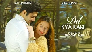 Dil Kya Kare (Kisi Se Pyar Ho Jaye) | Kaabil