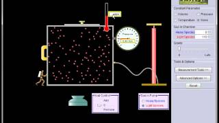 Gas laws simulation