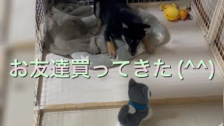 動くおもちゃ