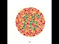 test colour blindness with ishihara book original 38 plates with instructions